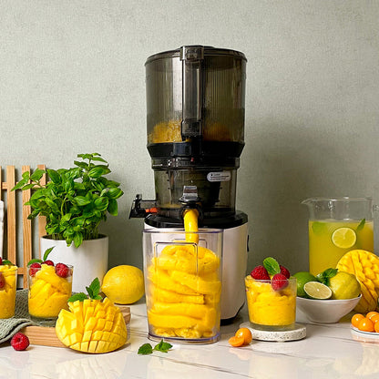 Cold Press Juicer, 5.3 Inch Large Feed Opening, Slow Masticator Chute, For Whole Vegetables and Fruits, High Yield, Easy to Clean Springtok Steel